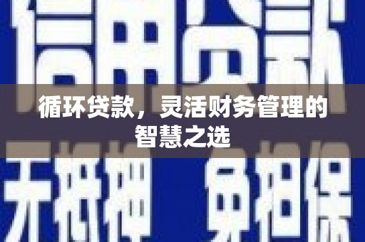 信州循环贷款，灵活财务管理的智慧之选