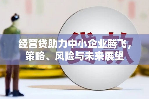 信州经营贷助力中小企业腾飞，策略、风险与未来展望