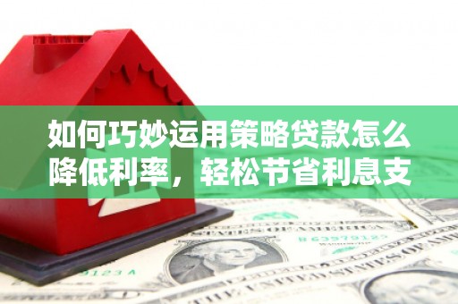 信州如何巧妙运用策略贷款怎么降低利率，轻松节省利息支出