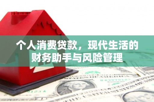 信州个人消费贷款，现代生活的财务助手与风险管理