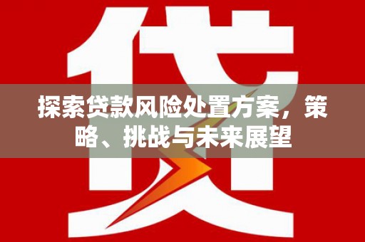 信州探索贷款风险处置方案，策略、挑战与未来展望