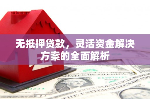 信州无抵押贷款，灵活资金解决方案的全面解析