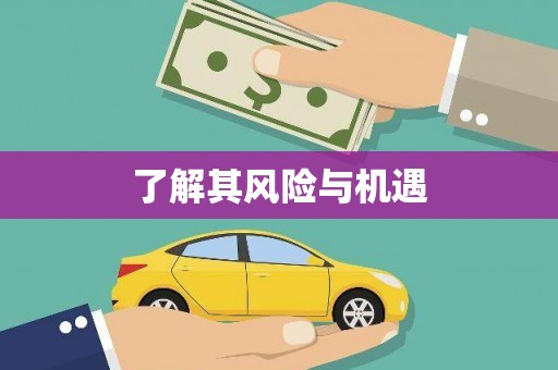 信州了解其风险与机遇