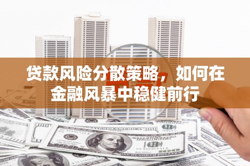 信州贷款风险分散策略，如何在金融风暴中稳健前行