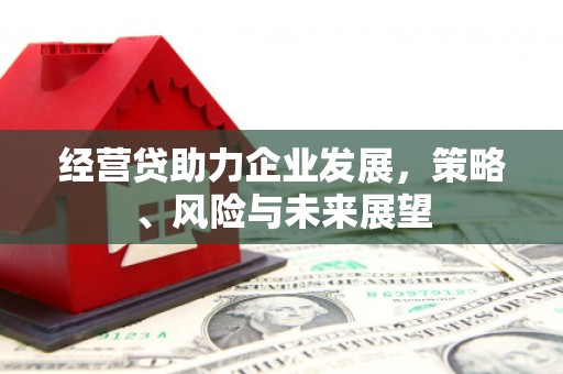 信州经营贷助力企业发展，策略、风险与未来展望