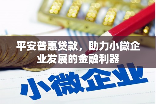 信州平安普惠贷款，助力小微企业发展的金融利器