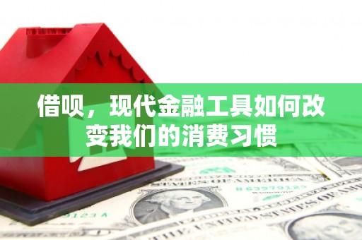 信州借呗，现代金融工具如何改变我们的消费习惯