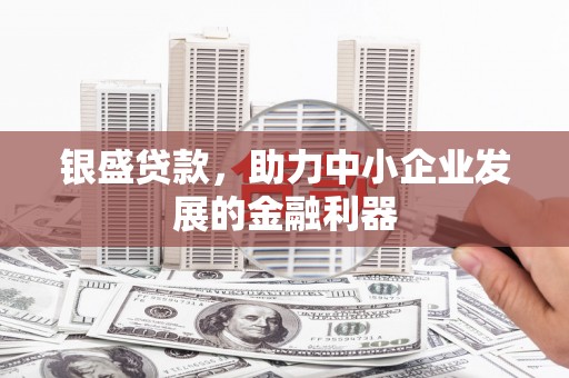 信州银盛贷款，助力中小企业发展的金融利器