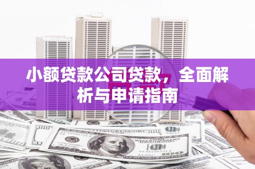 信州小额贷款公司贷款，全面解析与申请指南