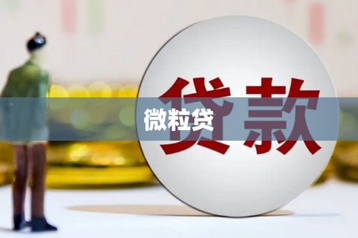 信州微粒贷