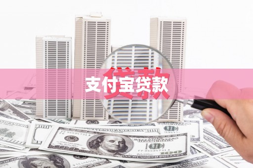 信州支付宝贷款