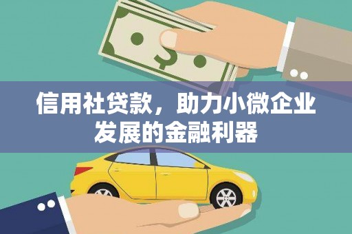 信州信用社贷款，助力小微企业发展的金融利器