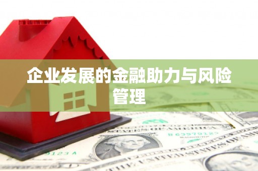 信州企业发展的金融助力与风险管理