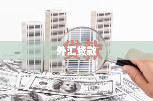 信州外汇贷款