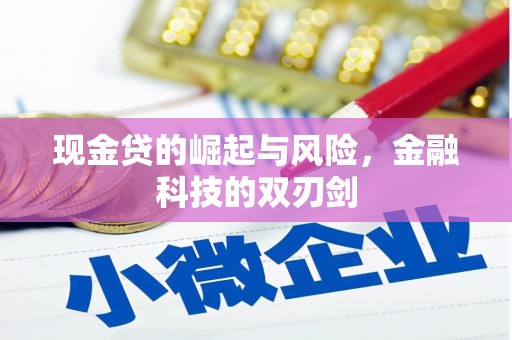 信州现金贷的崛起与风险，金融科技的双刃剑