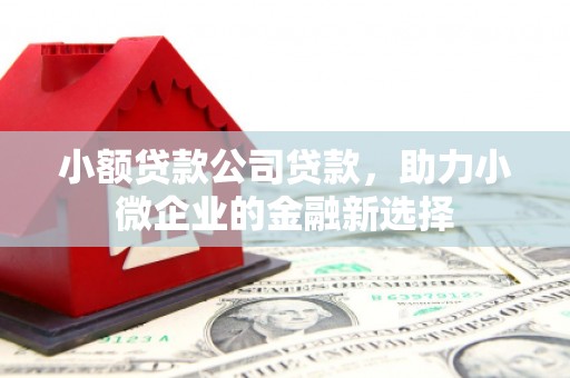 信州小额贷款公司贷款，助力小微企业的金融新选择