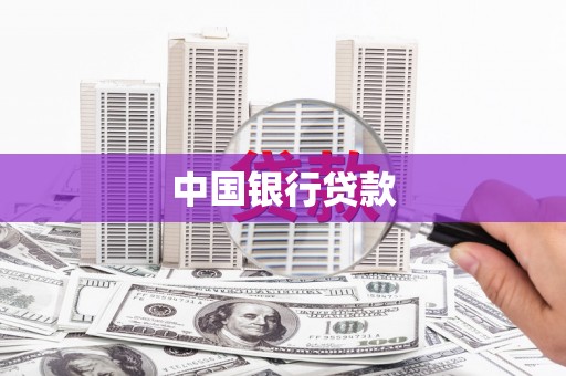 信州中国银行贷款