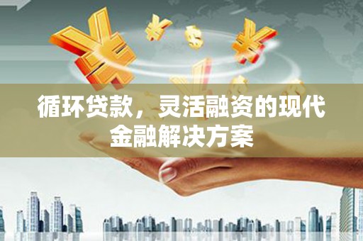 信州循环贷款，灵活融资的现代金融解决方案