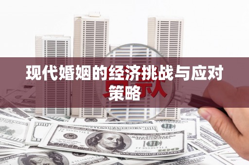 信州现代婚姻的经济挑战与应对策略