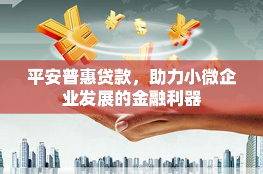 信州平安普惠贷款，助力小微企业发展的金融利器
