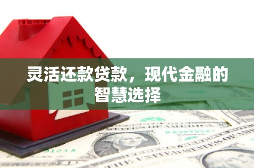 信州灵活还款贷款，现代金融的智慧选择