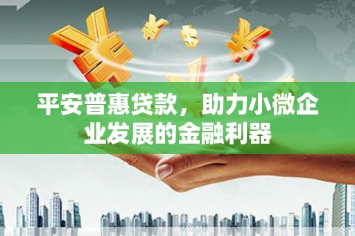 信州平安普惠贷款，助力小微企业发展的金融利器