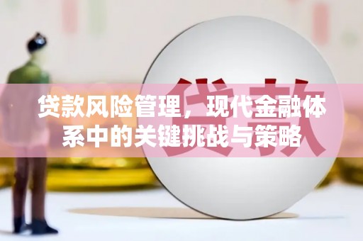 信州贷款风险管理，现代金融体系中的关键挑战与策略
