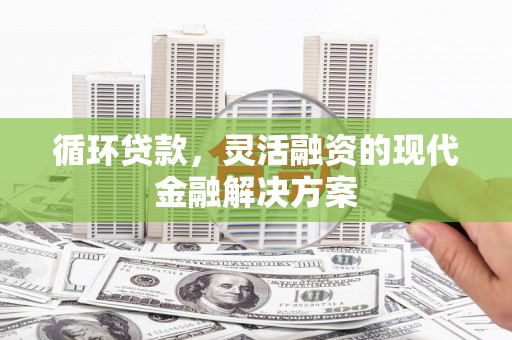 信州循环贷款，灵活融资的现代金融解决方案