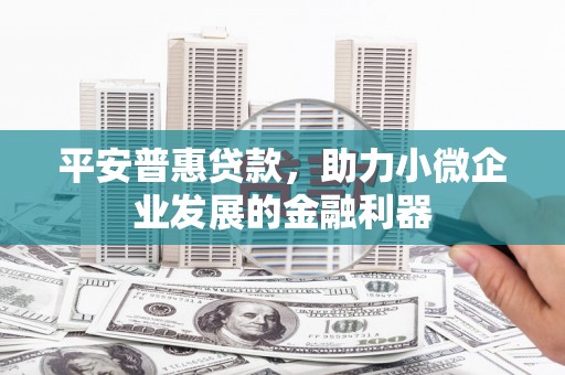 信州平安普惠贷款，助力小微企业发展的金融利器