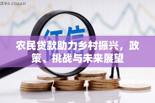 信州农民贷款助力乡村振兴，政策、挑战与未来展望