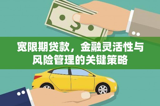 信州宽限期贷款，金融灵活性与风险管理的关键策略