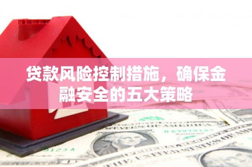 信州贷款风险控制措施，确保金融安全的五大策略