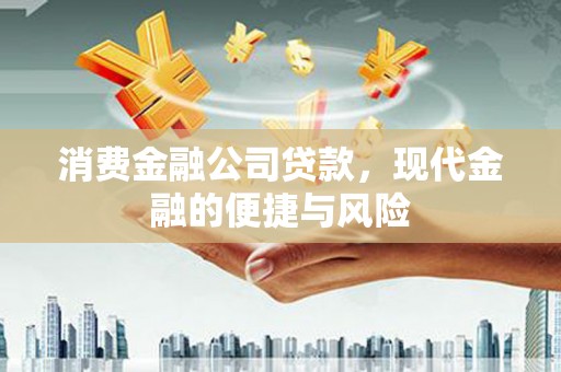 信州消费金融公司贷款，现代金融的便捷与风险