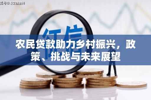 信州农民贷款助力乡村振兴，政策、挑战与未来展望