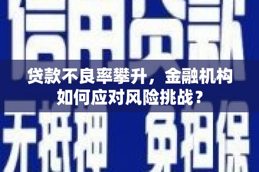 信州贷款不良率攀升，金融机构如何应对风险挑战？