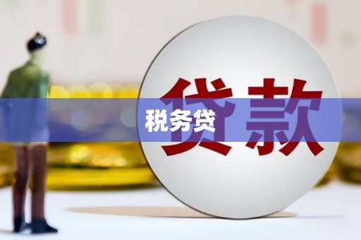信州税务贷
