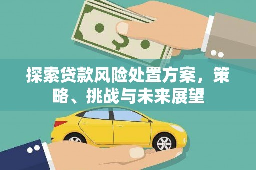 信州探索贷款风险处置方案，策略、挑战与未来展望