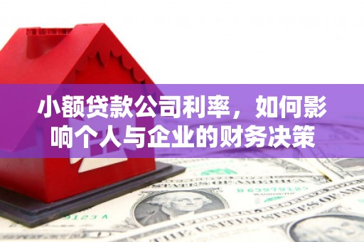 信州小额贷款公司利率，如何影响个人与企业的财务决策