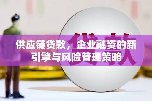 信州供应链贷款，企业融资的新引擎与风险管理策略