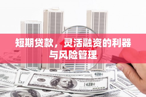 信州短期贷款，灵活融资的利器与风险管理