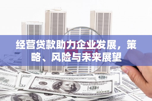 信州经营贷款助力企业发展，策略、风险与未来展望
