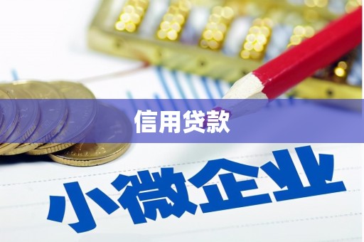 信州信用贷款