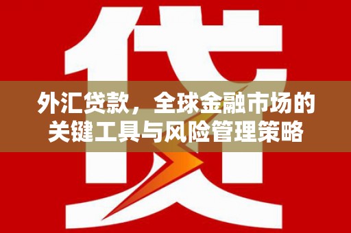 信州外汇贷款，全球金融市场的关键工具与风险管理策略