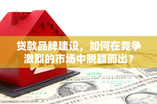 信州贷款品牌建设，如何在竞争激烈的市场中脱颖而出？