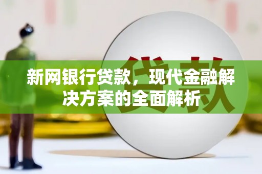 信州新网银行贷款，现代金融解决方案的全面解析