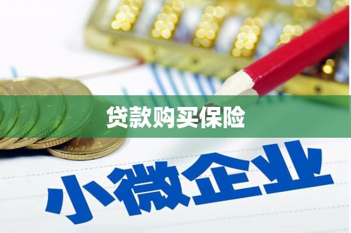信州贷款购买保险