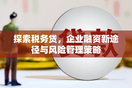 信州探索税务贷，企业融资新途径与风险管理策略