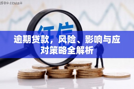 信州逾期贷款，风险、影响与应对策略全解析