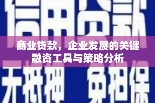 信州商业贷款，企业发展的关键融资工具与策略分析