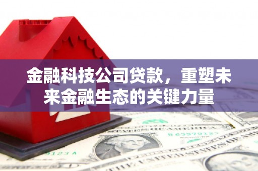 信州金融科技公司贷款，重塑未来金融生态的关键力量